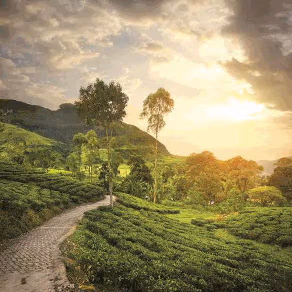 Sri Lanka